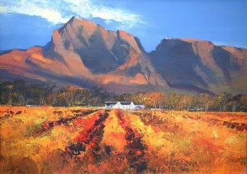 "Boschendal Vineyards"