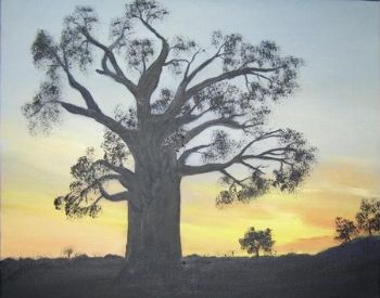 "Baobab Tree - Sunset"