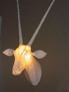 "Gemsbok / Oryx"