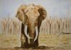 "Elephant At the Waterhole"