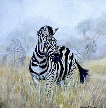 "Zebra"