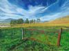 "Freestate Farmgate"