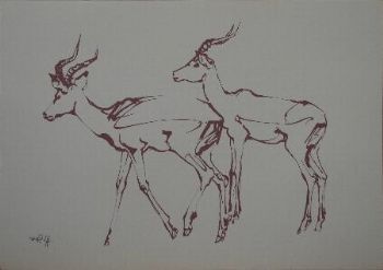 "2 Rooibokke"