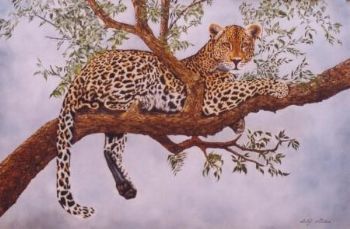 "Leopard in tree"