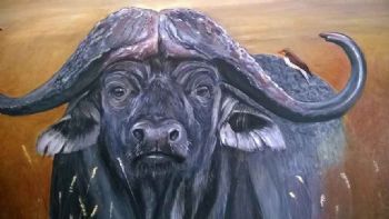 "African Buffalo 2"