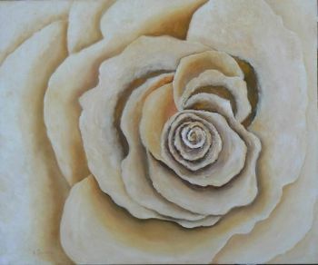 "Cream Rose"
