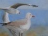 "Sea Gulls (Small)"