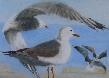 "Sea Gulls"