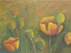 "Poppy field"