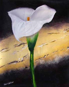 "Arum Lily 2"