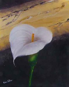 "Arum Lily 3"