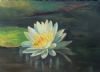 "Lotus Flower"