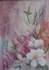 "Pink Fantacy Lilies"
