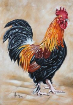 "Rooster 3"