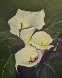 "Arum lilies"