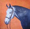 "Horse on Orange Background"