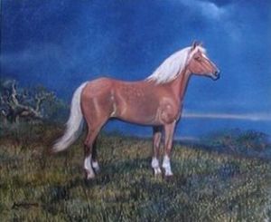 "Palomino Horse"