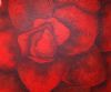 "Red Begonia"