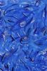 "Blue Eyes 2"