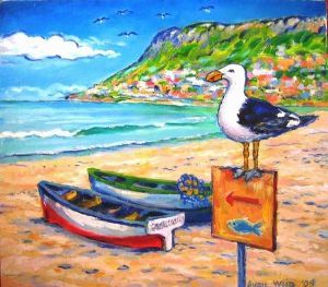 "Seagull at fishhoek"
