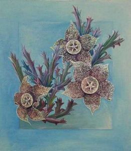"Desert Flower"