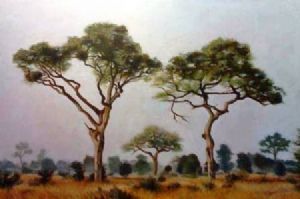 "Bushveld Trees"