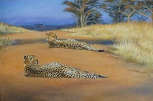 "Cheetahs"