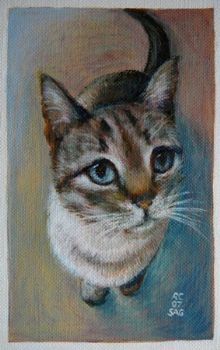 "Slippers, the Cat"