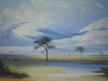 "Botswana Landscape - Nata"