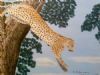 "Leopard Jumping"