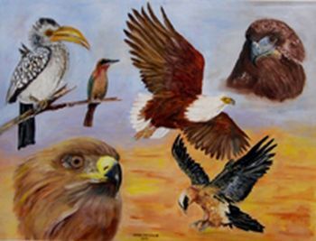 "Birds out of Africa"