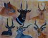 "Buck out of Africa"
