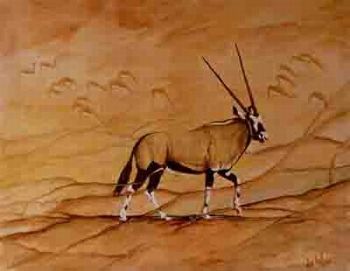 "Kalahari Gemsbok"