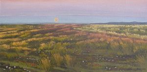 "Setting Moon in Namibia 1"