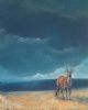 "Stormy Sky"