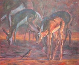 "Springbok"