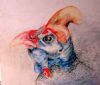 "Helmeted Guineafowl"