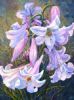"Easter Lilies"