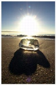 "jellyfish-hand"
