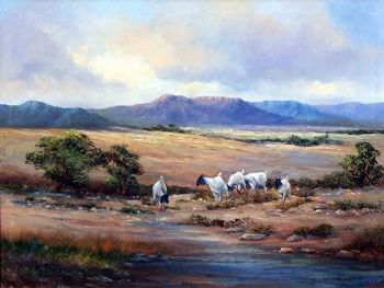 "Karroo Farm Landscape"