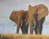 "Elephants on Lake Kariba Shore"