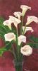 "Arums on Burgundy"