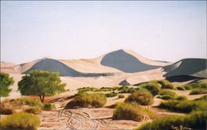 "Sosusvlei Namibie"