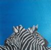 "Zebra Blue"