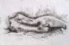 "Life Drawing 5"