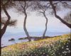 "Serenity"