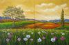 "Cosmos Panels 2xPanels of 750x1000mm"