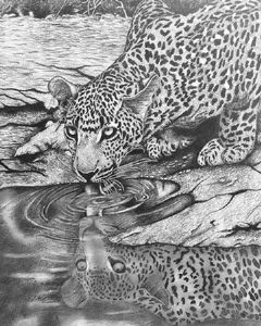 "At the Waterhole"