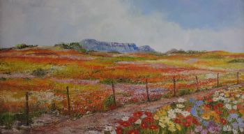 "Namakwaland - Flowers "