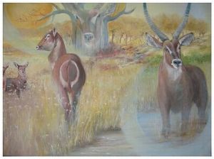 "Spirit Of The Waterbuck"